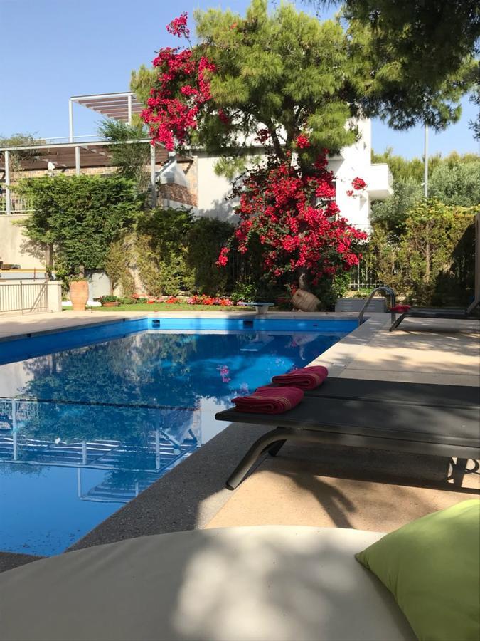 Villa Serenity Порто-Рафти Экстерьер фото